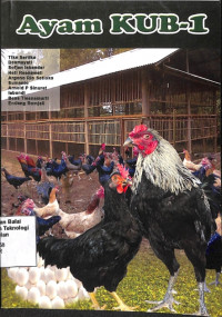 Image of Ayam KUB-1 - IAARD