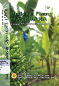 Image of Budidaya Pisang Mas Kirana