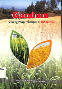 Image of Gandum : Peluang Pengembangan di Indonesia - IAARD