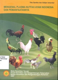 Image of Mengenal Plasma Nutfah Ayam Indonesia Dan Pemanfaatannya