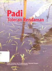 Image of Padi Toleran Rendaman