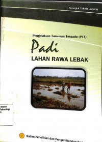 Image of PTT Padi Lahan Rawa Lebak