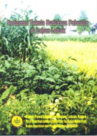 Image of Pedoman Teknis Budidaya Palawija di Lahan Lebak